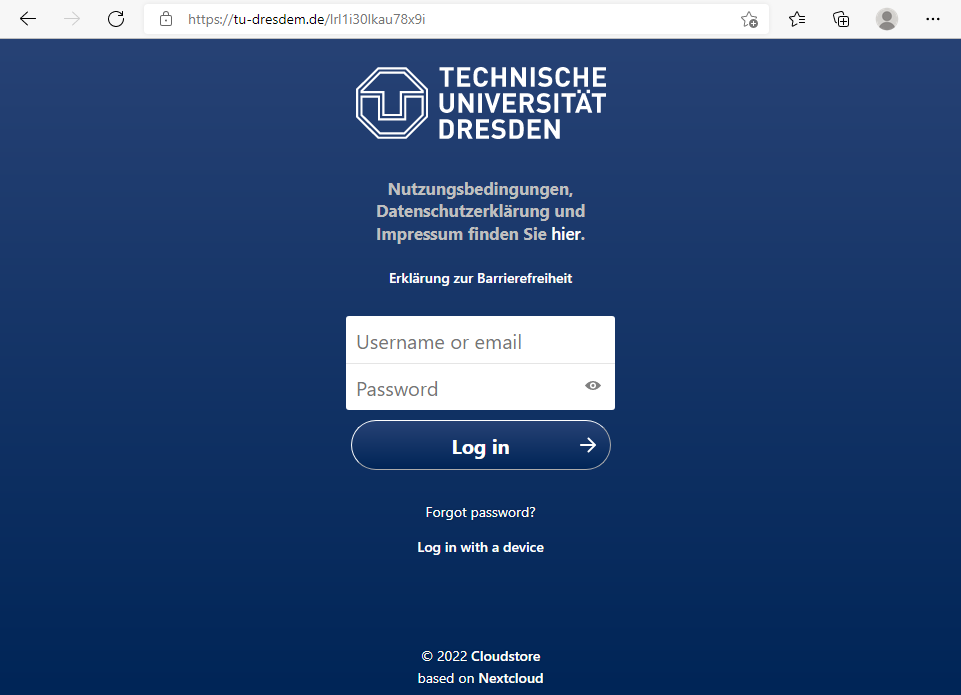 Screenshot der Phishing-Website