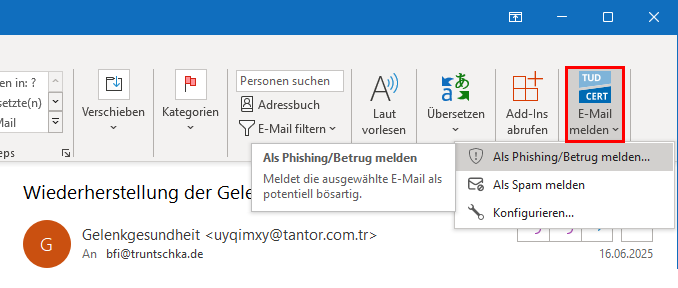 Screenshot des Melde-Buttons im Outlook Ribbon